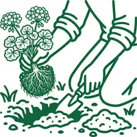 Planting