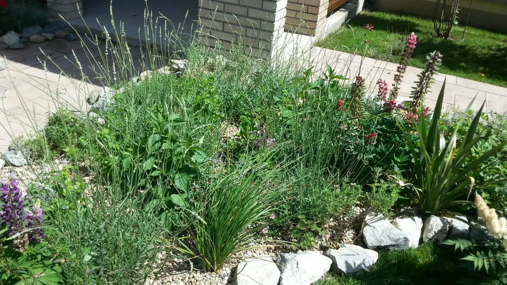 Planting & Horticultural