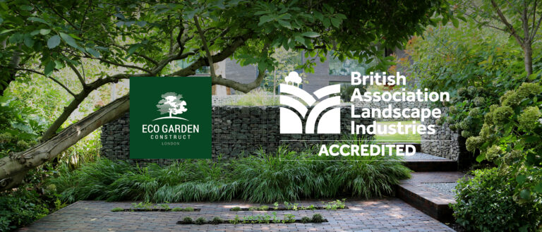 We are now a BALI ACCREDITED INTERNATIONAL MEMBER!